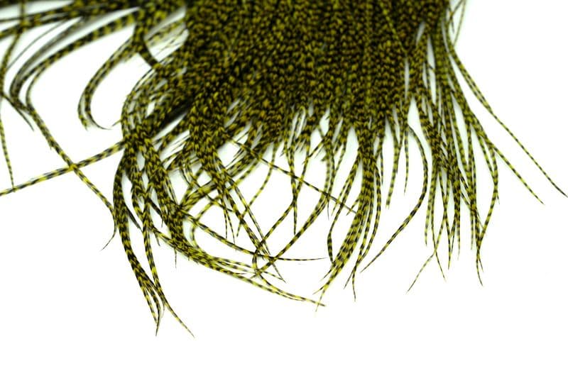 Whiting Pro Grade Midge Saddle Grizzly dyed Olive view 4