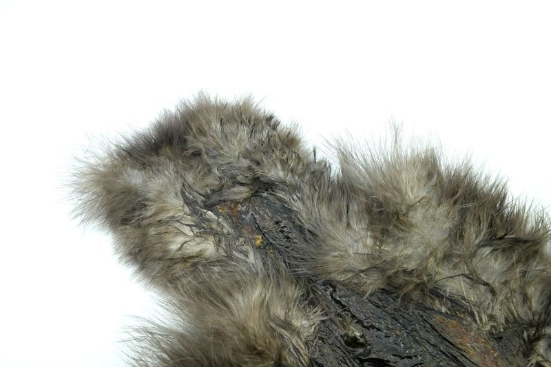 Spey SH/C Grizzly dyed Heron Grey view 1