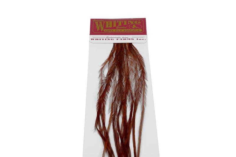 Whiting 100 Pk Size 16 White dyed Coachman Brown view 4
