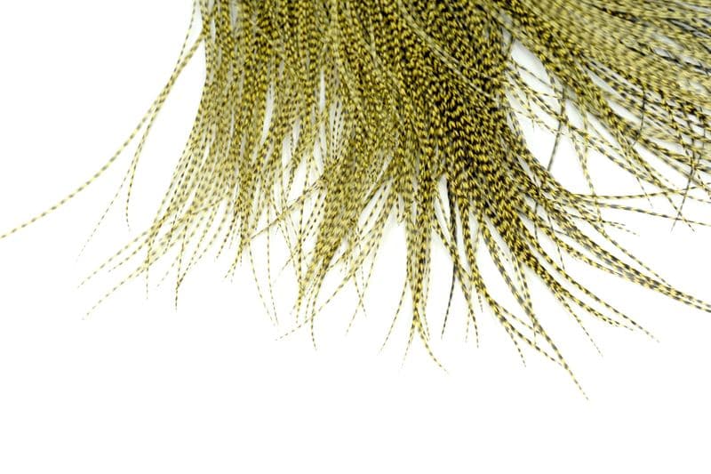 Whiting Pro Grade Midge Saddle Grizzly dyed Pale Yellow view 4