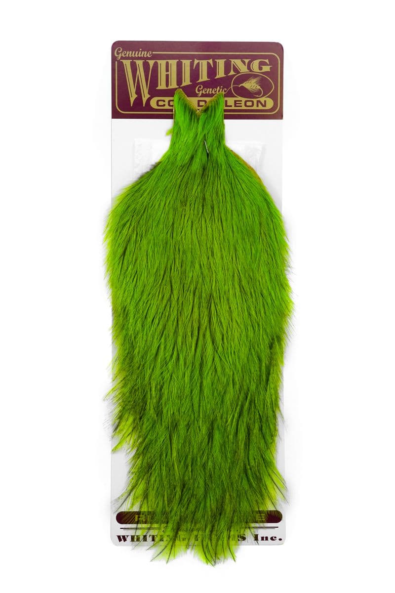 Coq de Leon Cape Badger dyed Fl. Grn Chartr. view 3