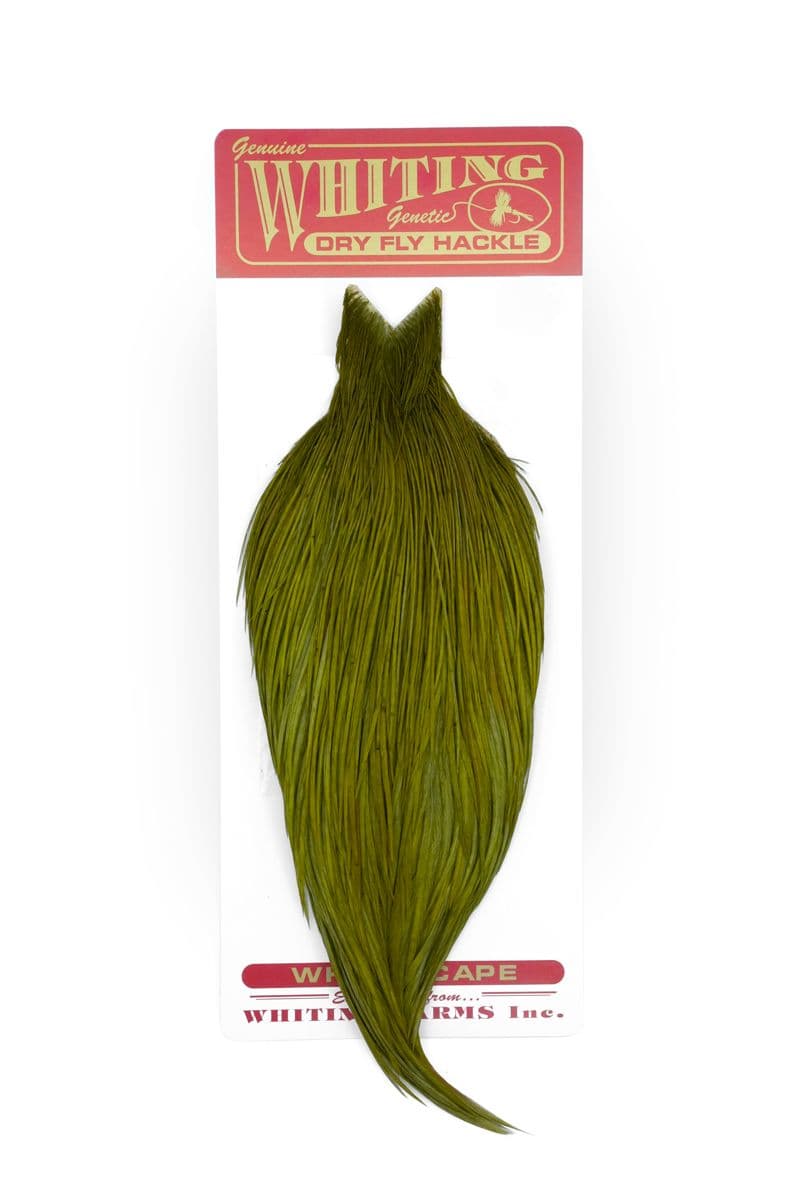 Whiting Commercial Cape White dyed Dark Olive view 3