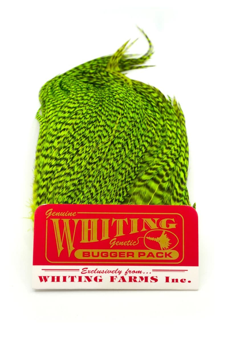 Whiting Bugger Pack Grizzly dyed Fl. Green Chartreuse view 3