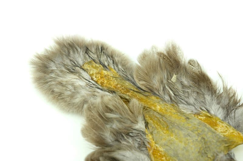 Brahma Hen SH/C Mottled Gray dyed Light Dun view 1
