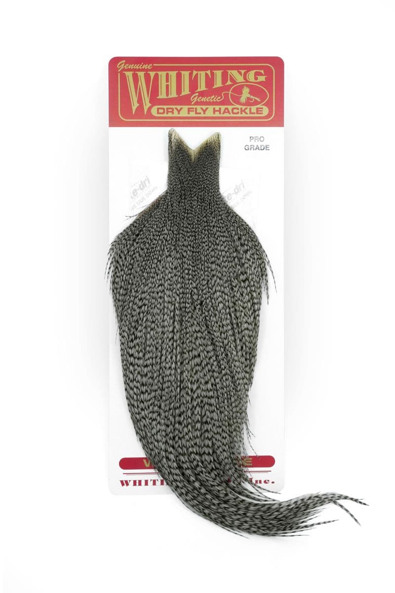 Whiting Pro Grade Cape Grizzly dyed Dun view 3
