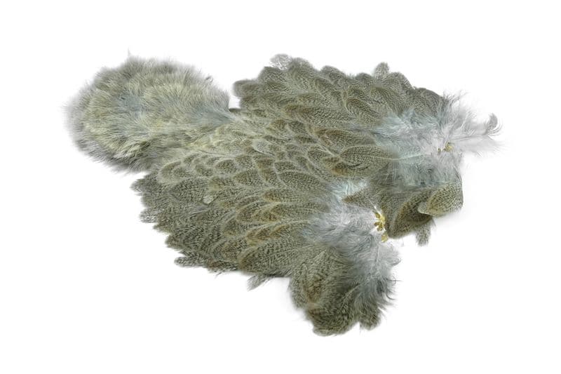 Brahma Hen SH/C Mottled Grey view 2