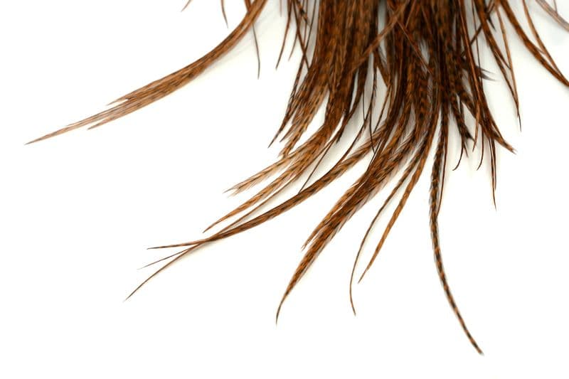Whiting Silver Saddle Grizzly dyed Brown view 5