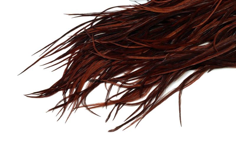 Eurohackle Saddle White dyed Coachman Brown view 4