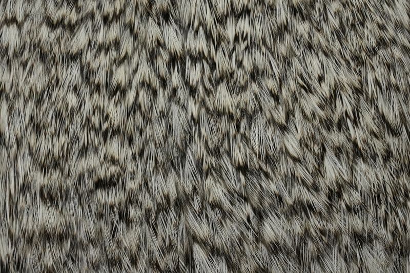 Coq de Leon Cape Grizzly