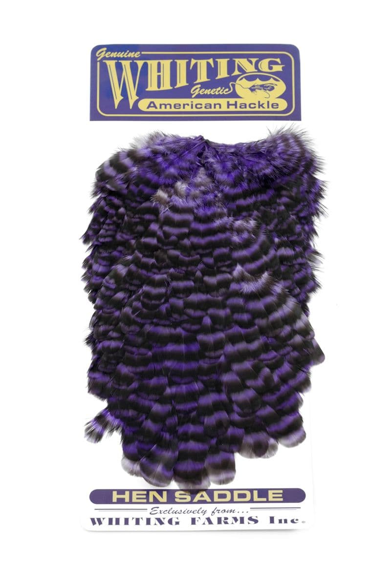 American Hen Saddle Grizzly dyed Purple view 3