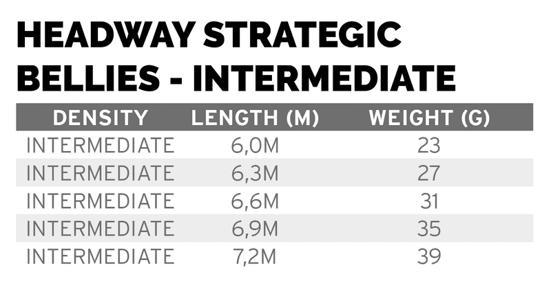 Headway Strategic Intermediate 23 g view 1