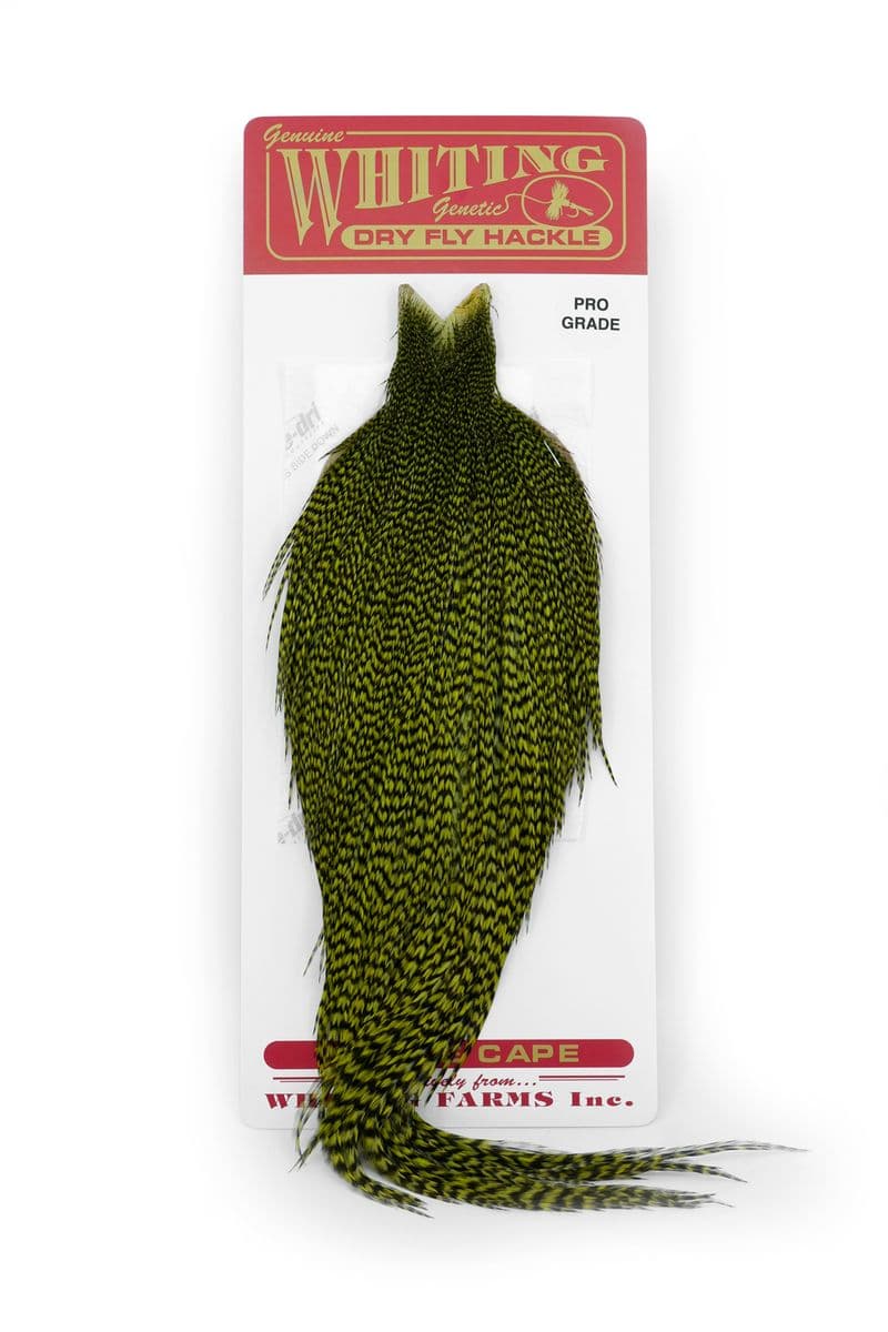 Whiting Silver Cape Grizzly dyed Olive view 3