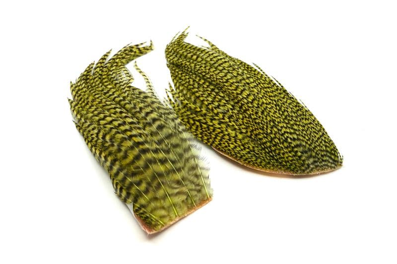 Whiting Bugger Pack Grizzly dyed Olive view 4