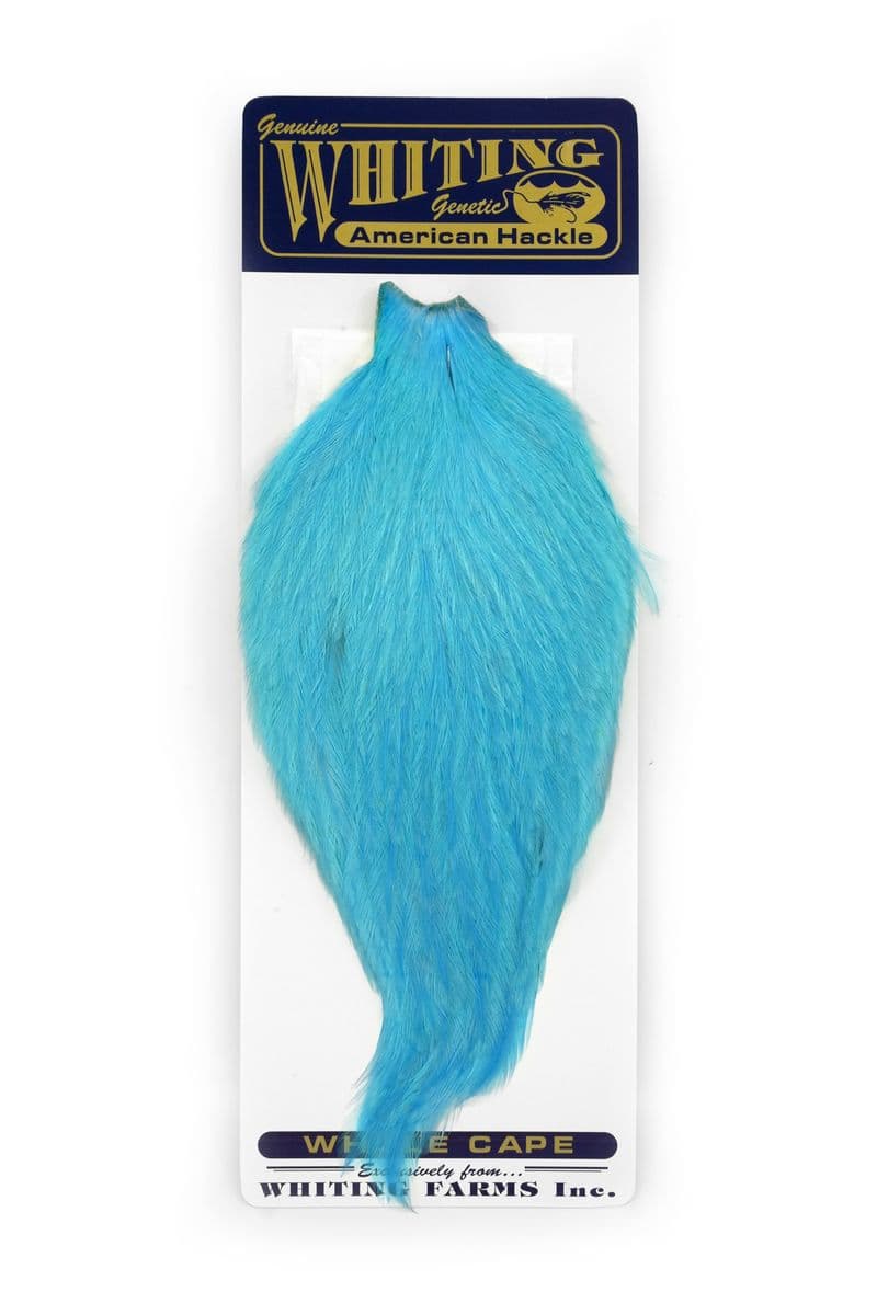 American Rooster Cape White dyed Silver Dr. Blue view 3