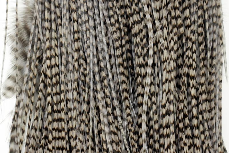 Whiting Silver Saddle Grizzly dyed Dun view 1