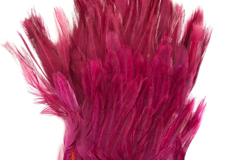 American Streamer Pack White dyed Claret view 1