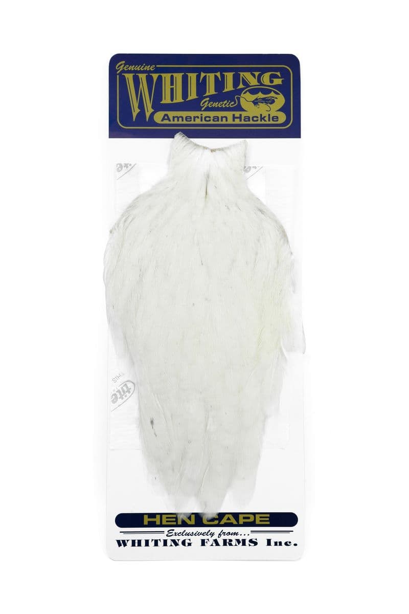 American Hen Cape White view 3