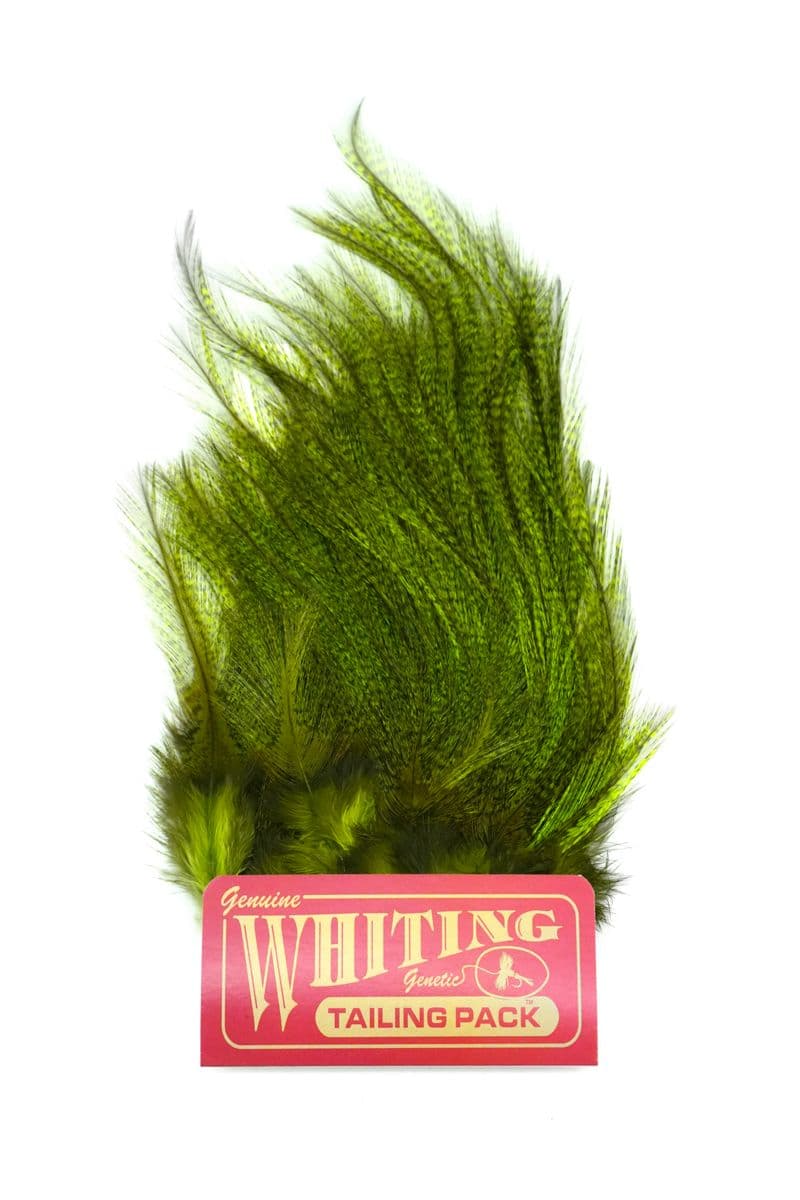 CDL Euro Nymph Tailing Pack Pardo dyed Fl Green Chartreuse view 2