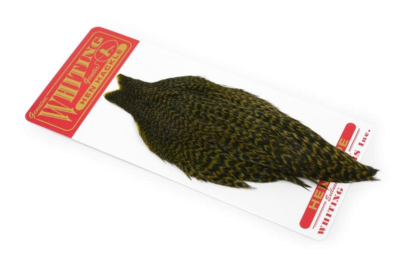 Whiting Hen Cape Grizzly dyed Olive view 1