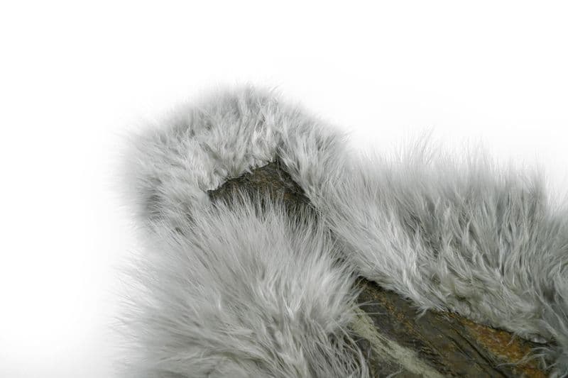 Spey SH/C White dyed Medium Dun view 1