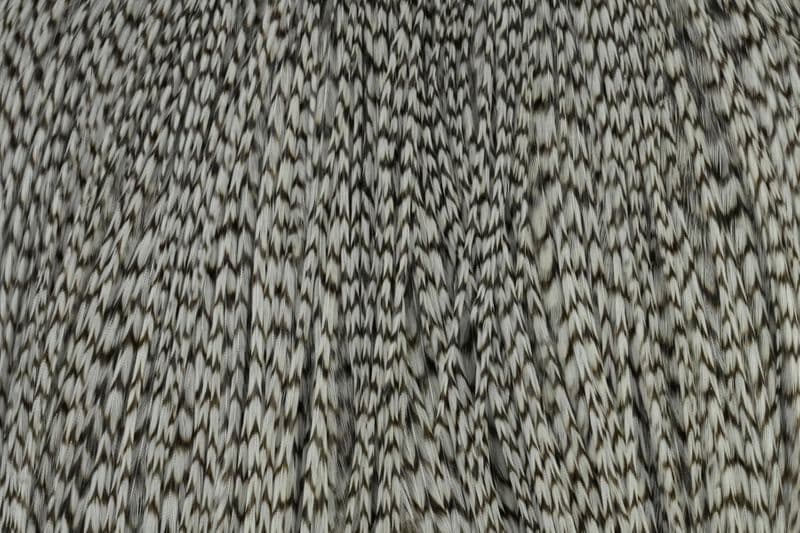 Whiting Pro Grade Cape Grizzly dyed Dun view 1
