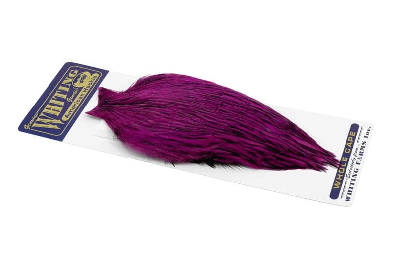 American Rooster Cape BLW dyed Magenta view 2
