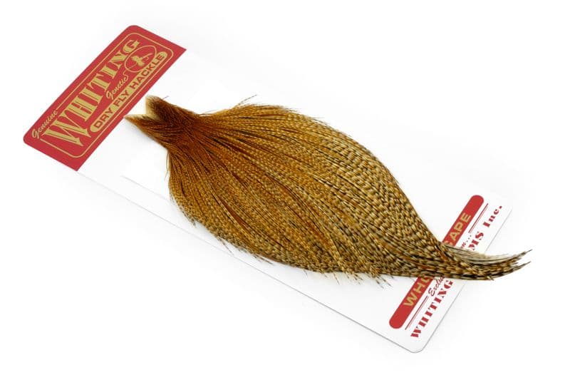 Whiting Commercial Cape Barred Dark Ginger view 2