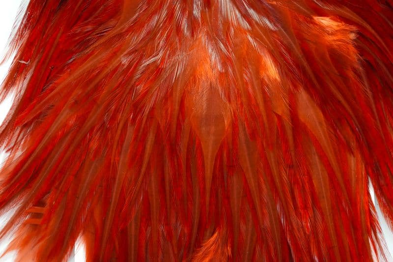 American Rooster Saddle Fiery Brown view 1