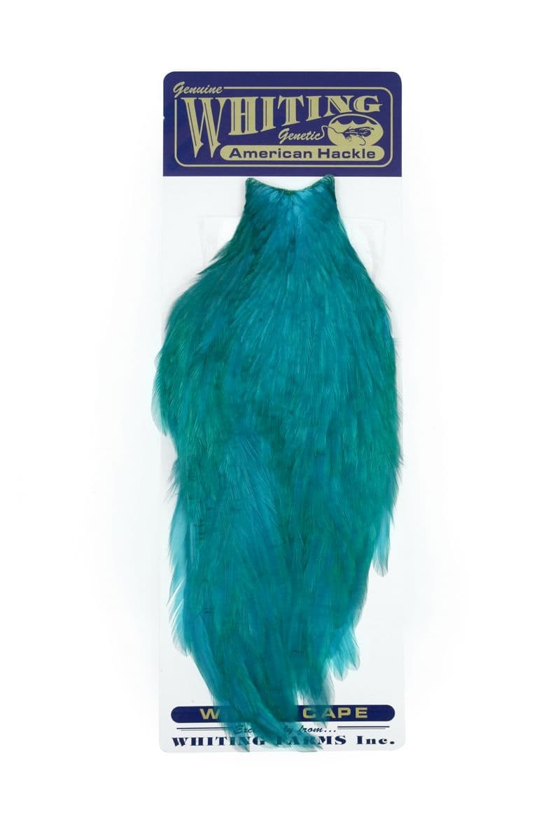 American Rooster Cape White dyed Teal view 3