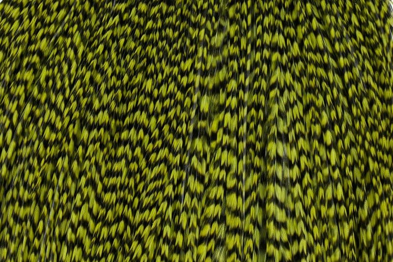Whiting Silver Cape Grizzly dyed Olive view 1