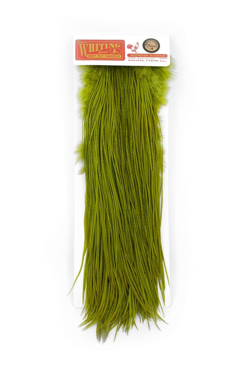 Whiting Silver Saddle White dyed Olive view 3