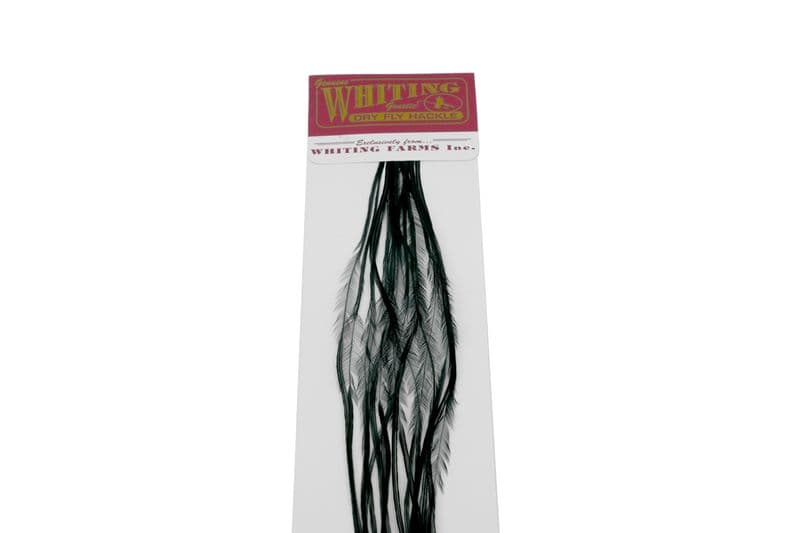 Whiting 100 Pk Size 16 Black view 4