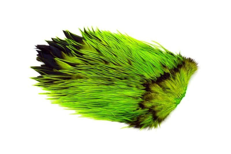 Brahma Rooster Saddle Badger dyed Fl Green Chartr view 2