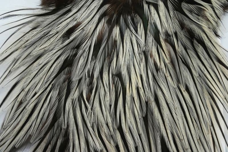 American Rooster Saddle Silver Badger view 1