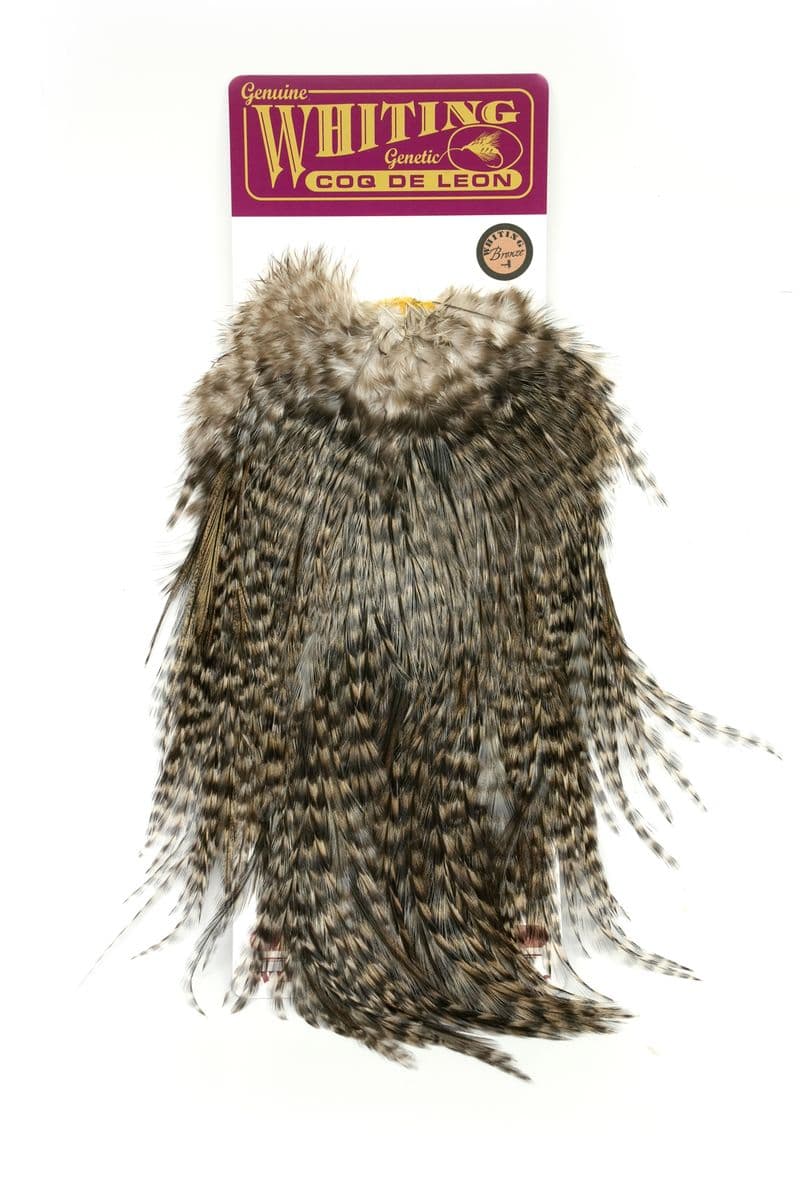 Coq de Leon Silver Saddle Grizzly Variant view 3