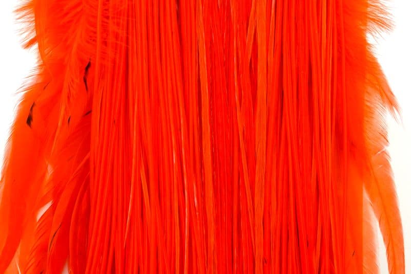 Eurohackle Saddle White dyed Orange view 1