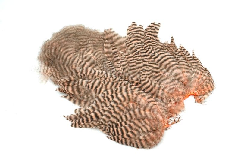 Whiting Rooster SH/C Grizzly dyed Salmon view 1