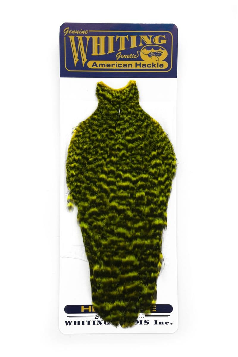 American Hen Cape Grizzly dyed Fl. Yellow Chartreuse view 3