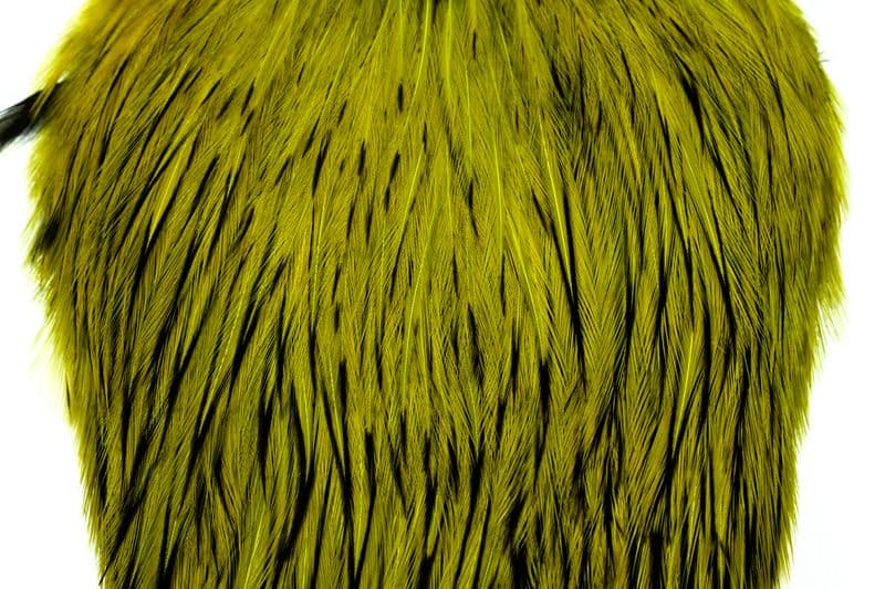 American Rooster Cape BLW dyed Olive view 1