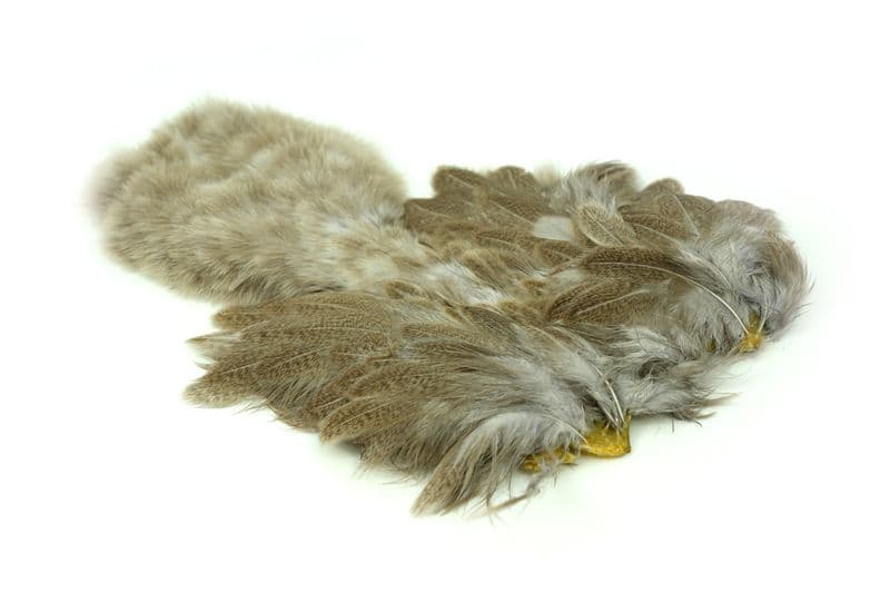 Brahma Hen SH/C Mottled Gray dyed Light Dun view 2