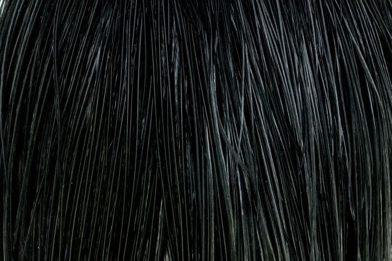 Whiting Gold Cape Black