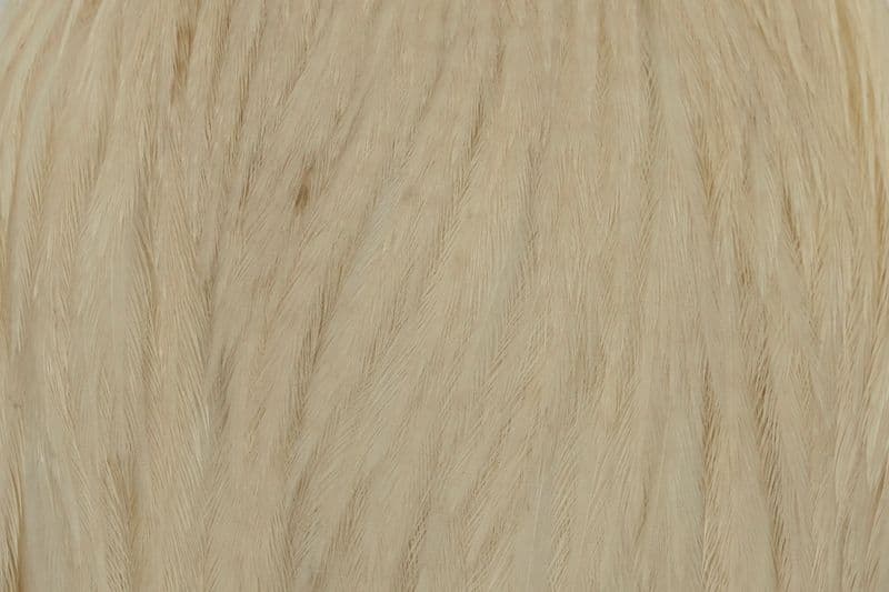 Hebert Hen Cape Cream view 1