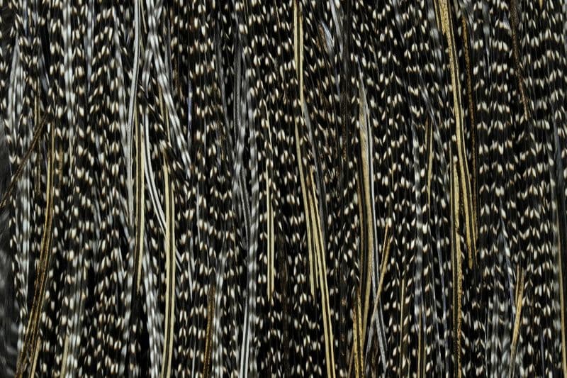 Whiting Bronze Midge Saddle Grizzly Variant view 1