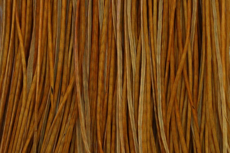 Eurohackle Saddle White dyed March Brown view 1