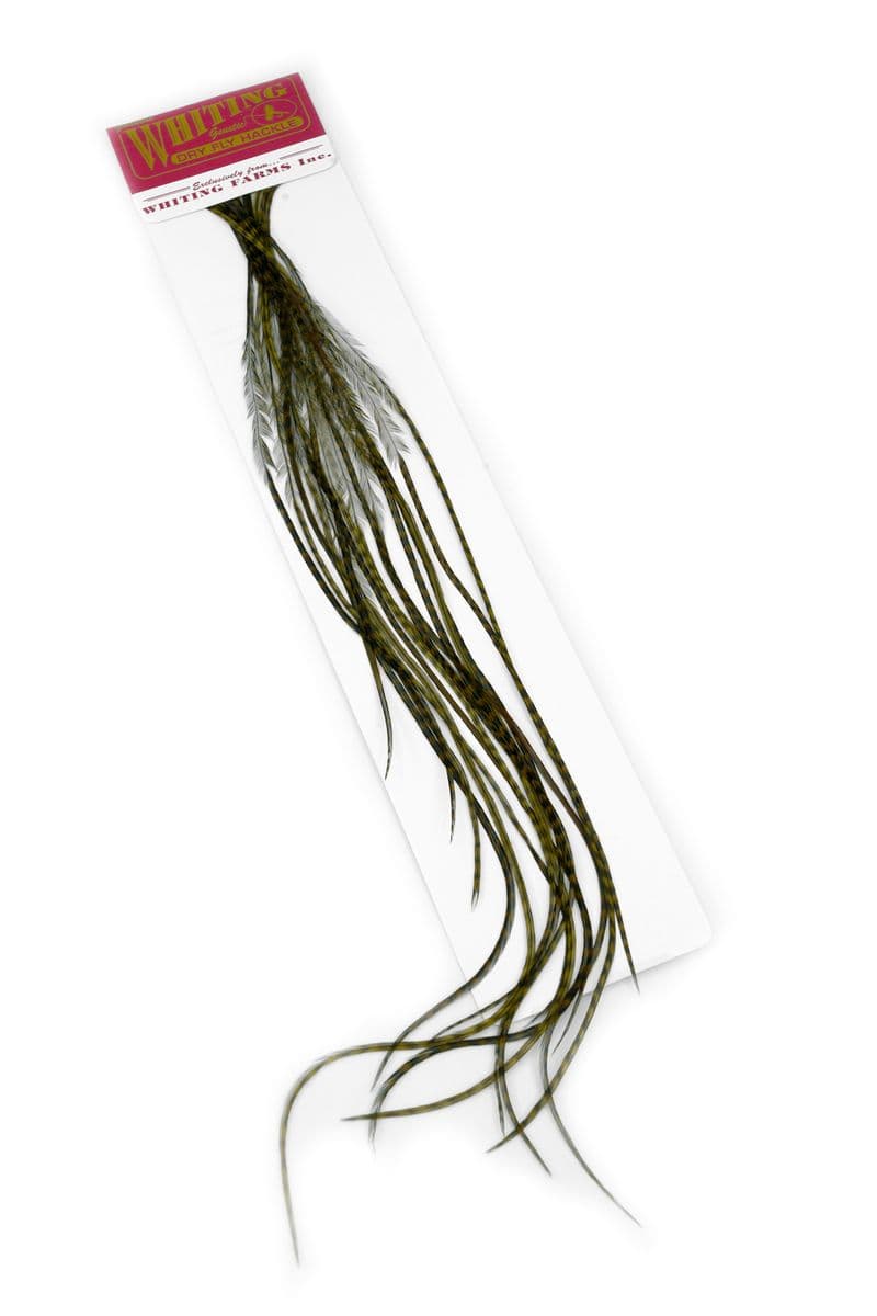 Whiting 100 Pk Size 16 Grizzly dyed Dark Olive view 1