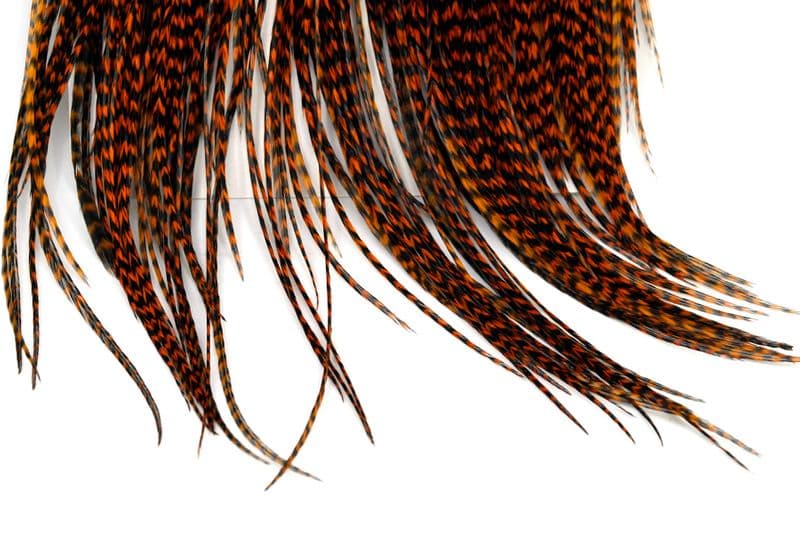 Whiting Silver Saddle Grizzly dyed Burnt Orange view 4