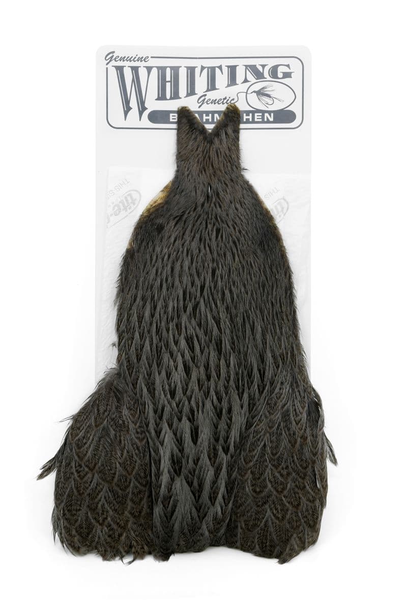 Brahma Hen Cape Badger dyed Dark Dun view 3