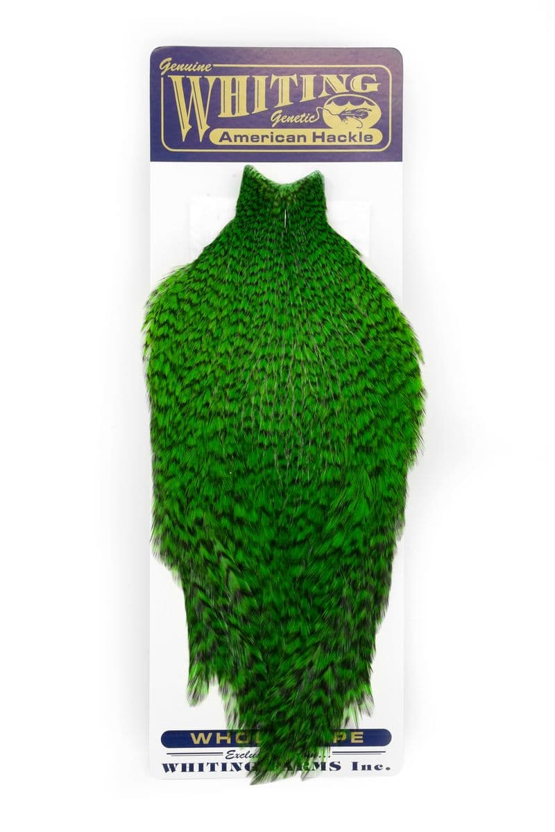 American Rooster Cape Grizzly dyed Highlander Green view 3