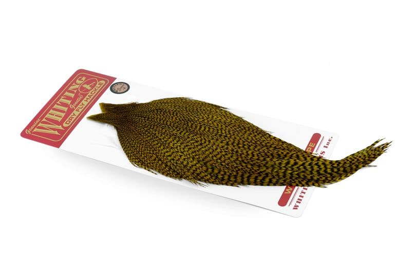 Whiting Bronze Cape Grizzly dyed Golden Olive view 2
