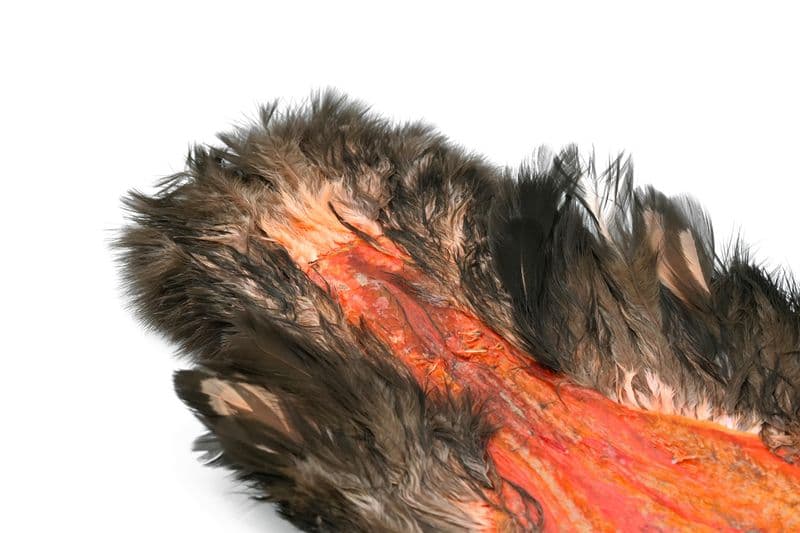 American Hen SH/C BLW dyed Salmon view 1